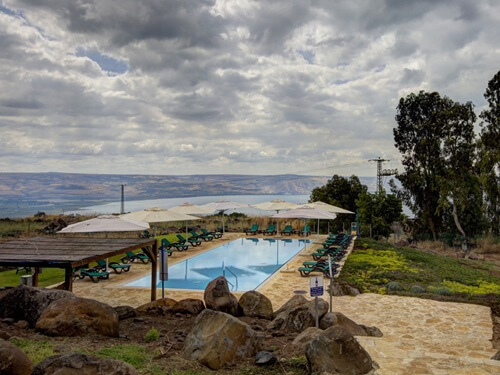 ורד הגליל- חוות סוסים